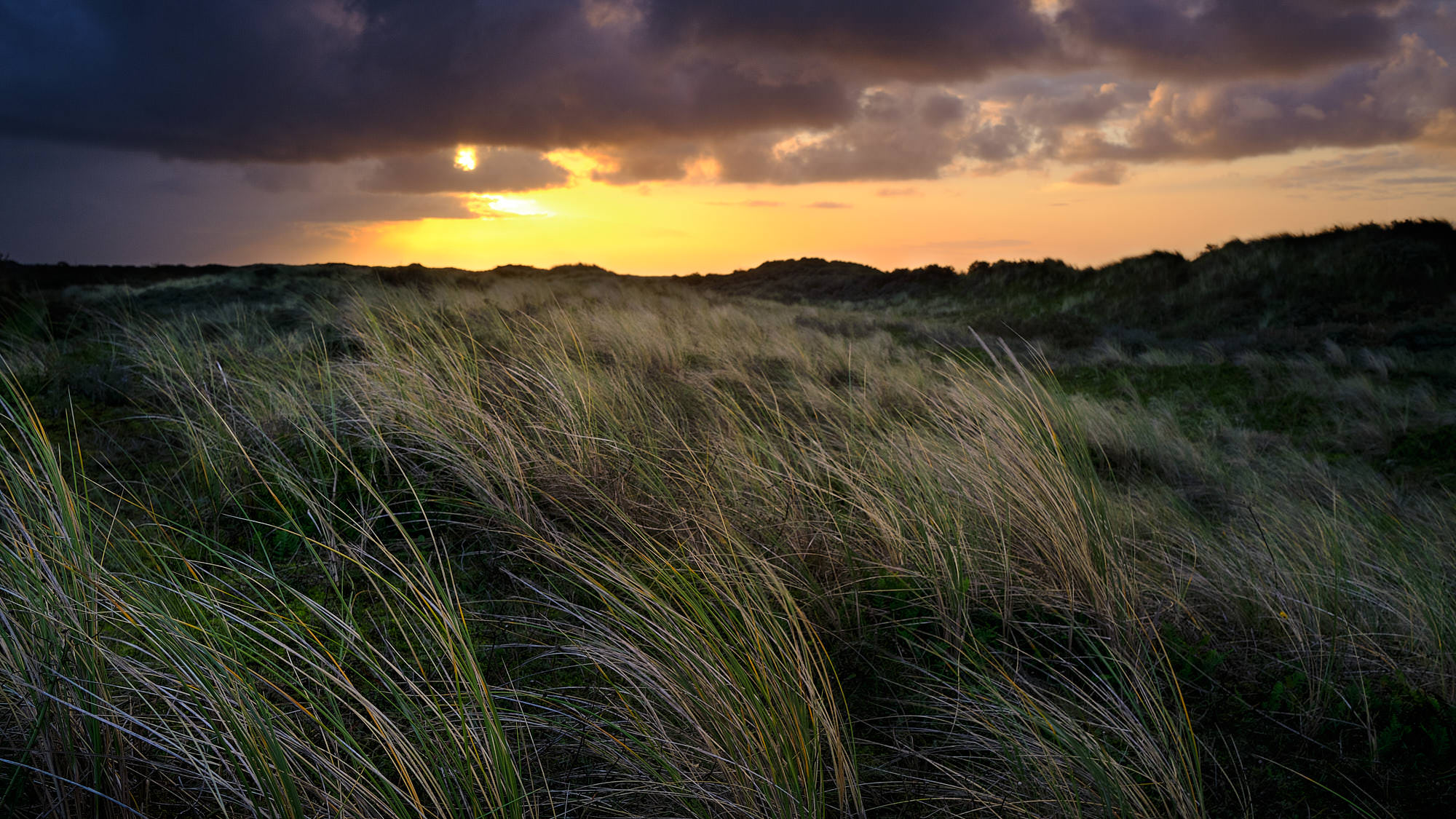 Niederlande - Texel / Netherlands - Texel